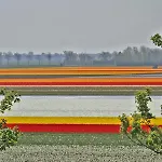 公寓 Sterflat 85 *