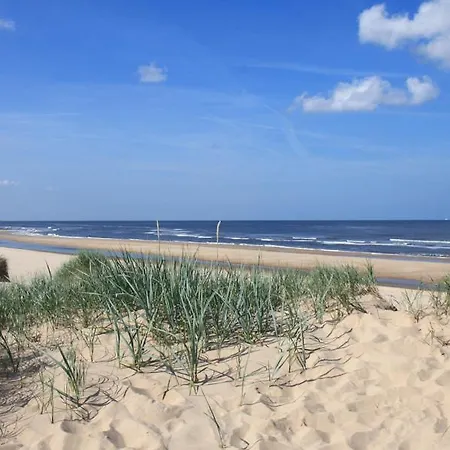 Sterflat 85 Egmond aan Zee