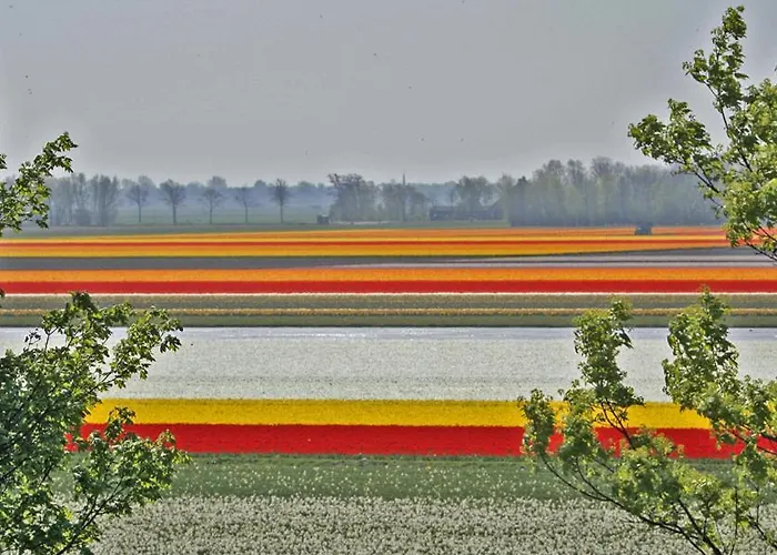 Appartamento Sterflat 85 *