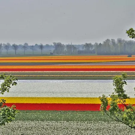 Διαμέρισμα Sterflat 85 *