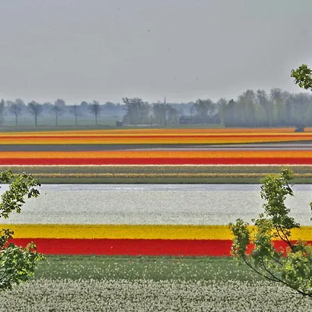 Sterflat 85 Διαμέρισμα Egmond aan Zee