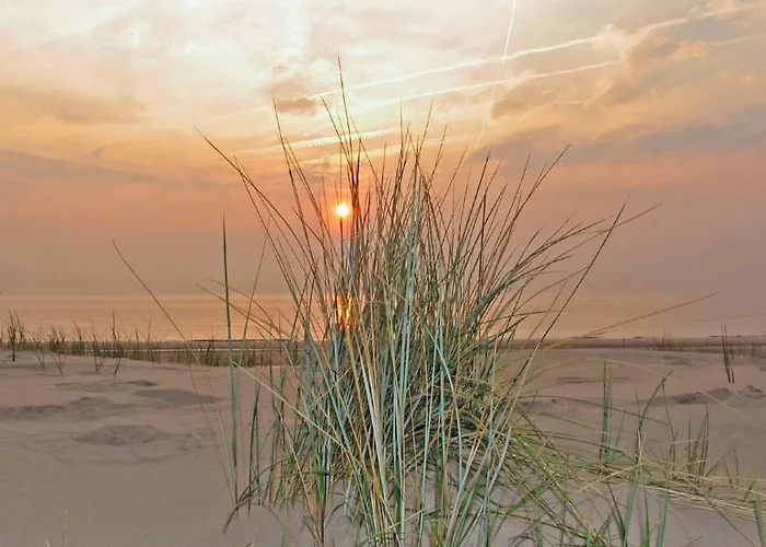 Apartamento Sterflat 85